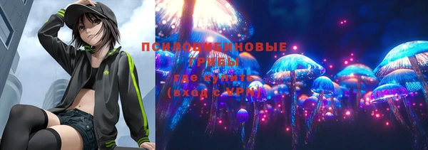 дмт Алзамай