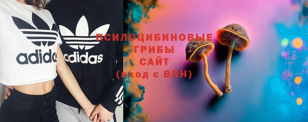 дмт Алзамай
