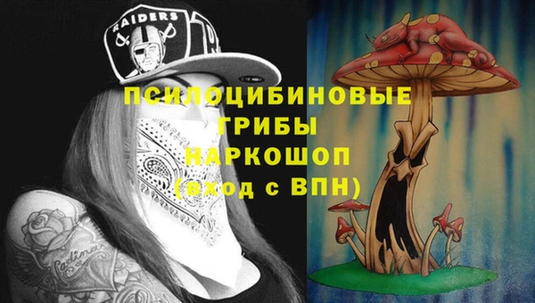 МДПВ Алексеевка