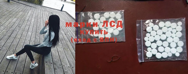 дмт Алзамай