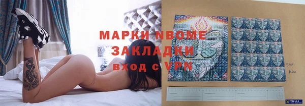 дмт Алзамай